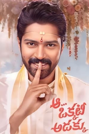 Aa Okkati Adakku 2024 Telugu Aa Okkati Adakku 2024 Telugu