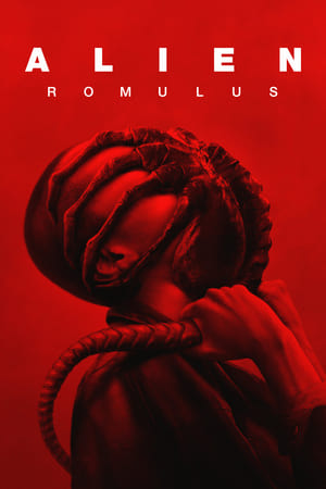 Alien: Romulus 2024 Hindi (Org) Dual Audio – 720p – Alien: Romulus 2024 Hindi (Org) Dual Audio – 720p –