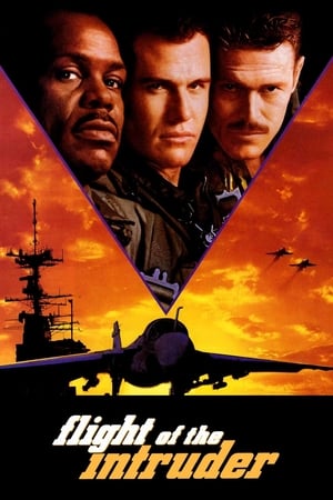 Flight Of The Intruder 1991 Hindi Dubbed Flight Of The Intruder 1991 Hindi Dubbed