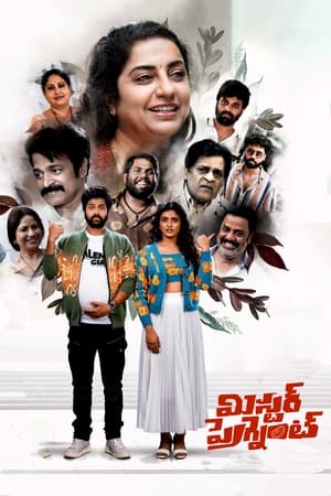 Mr. Pregnant (2023) (Hindi – Telugu) Dual Audio – Mr. Pregnant (2023) (Hindi – Telugu) Dual Audio –