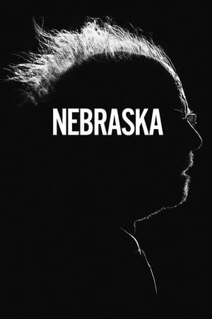 Nebraska 2013 Dual Audio Hindi 300MB Nebraska 2013 Dual Audio Hindi 300MB