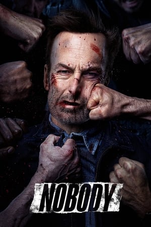 Nobody (2021) Hindi (Cleaned) Dual Audio 320MB Nobody (2021) Hindi (Cleaned) Dual Audio 320MB