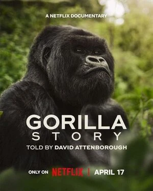 A Gorilla Story Told By David Attenborough 2026 English Audio A Gorilla Story Told By David Attenborough 2026 English Audio