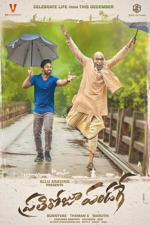 Prati Roju Pandaage 2019 Hindi Dual Audio Prati Roju Pandaage 2019 Hindi Dual Audio