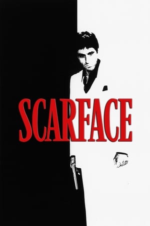 Scarface (1983) Dual Audio Hindi Movie - 1.4GB Scarface (1983) Dual Audio Hindi Movie - 1.4GB
