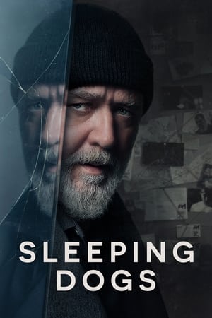Sleeping Dogs (2024) Hindi Dual Audio – 720p – Sleeping Dogs (2024) Hindi Dual Audio – 720p –