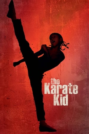 The Karate Kid 2010 Hindi Dubbed 1GB Movie The Karate Kid 2010 Hindi Dubbed 1GB Movie