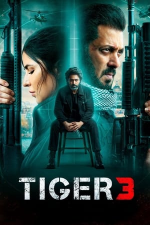 Tiger 3 2023 Hindi (ORG) – Tiger 3 2023 Hindi (ORG) –