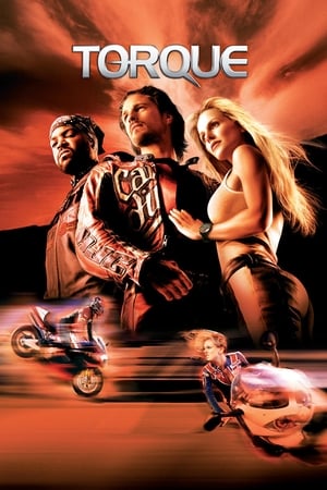 Torque 2004 300MB Hindi Dual Audio Download Torque 2004 300MB Hindi Dual Audio Download