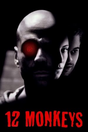 Twelve Monkeys (1995) Hindi Dual Audio Movie - 2.9GB Twelve Monkeys (1995) Hindi Dual Audio Movie - 2.9GB