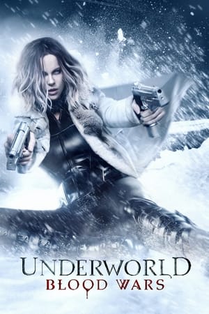 Underworld Blood Wars 2016 Hindi Dual Audio movie Download Underworld Blood Wars 2016 Hindi Dual Audio movie Download